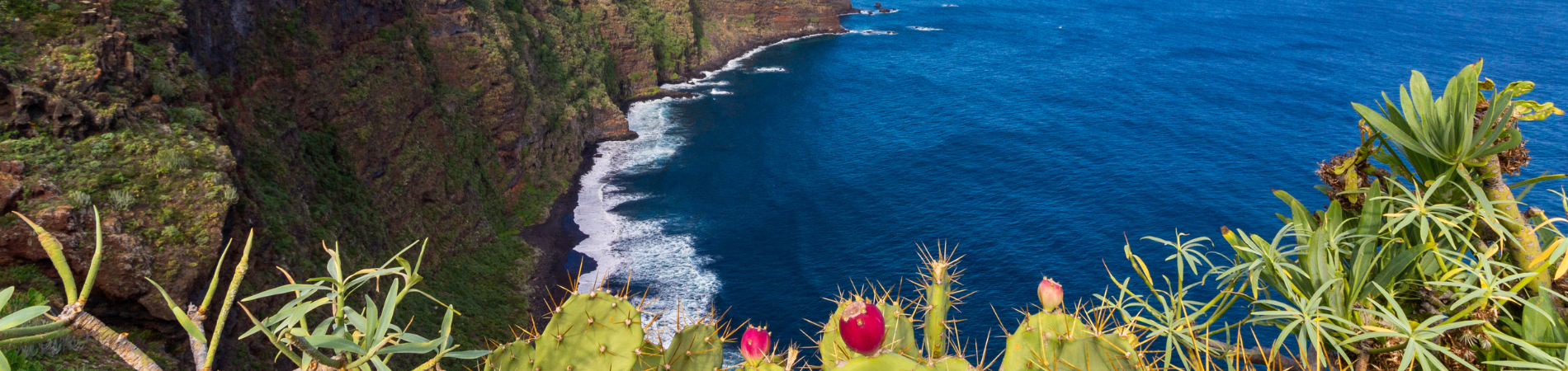 https://ofertasdeviaje.es/viajes/assets/upload/d31.webp
